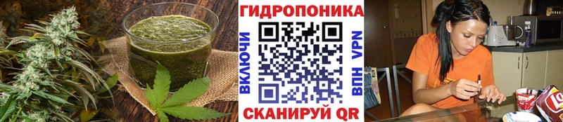 Cannafood конопля  Шиханы 
