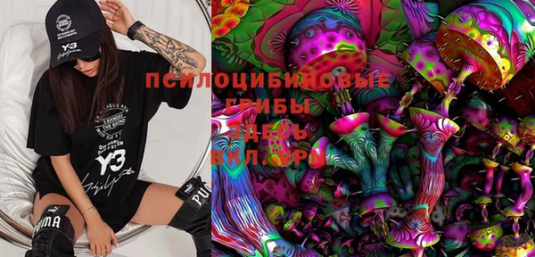 таблы Лабытнанги