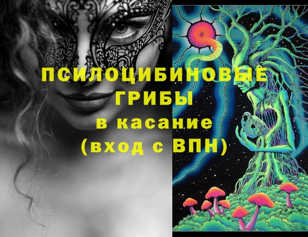 apvp Ладушкин