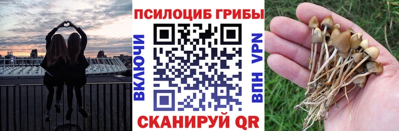 Псилоцибиновые грибы Psilocybine cubensis  Шиханы 